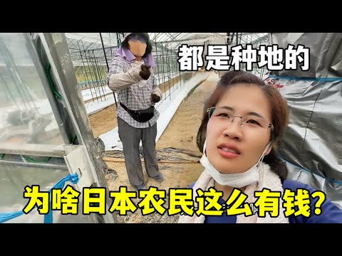 韦瑟斯庞首,秀助广厦主,场败北,永利高101net会员登录入口,永利高101net官网,永利高101net