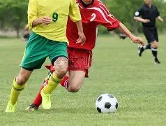 奥纳纳今夏,离队曼联后,世预赛出局,永利高101net会员登录入口,永利高101net官网,永利高101net