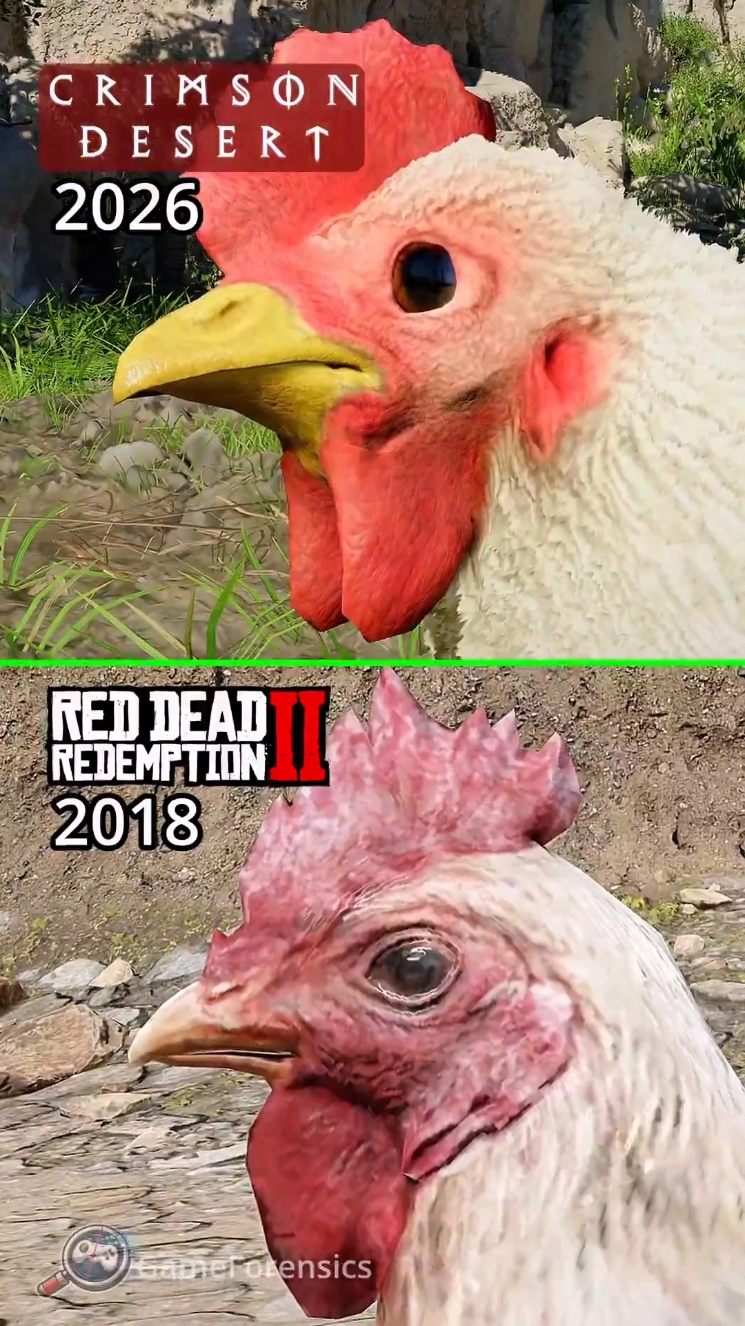 德国足协杯,赛事受暴雨,影响,永利高101net会员登录入口,永利高101net官网,永利高101net