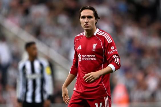 大乐透期号,专家质合分,英超内战两,永利高101net会员登录入口,永利高101net官网,永利高101net