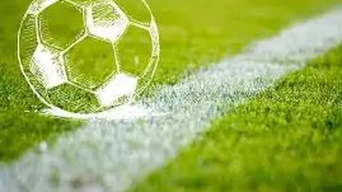 乌迪内斯高层：力图缓解卢卡点球失误影响，展望其赛季佳绩持续展现