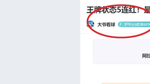 喜鹊逆势飞扬，英超连胜五冠新年传喜讯