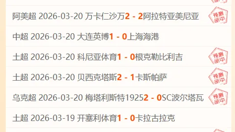 大乐透期号专家质合分析推荐：前区十码解析及NBA焦点战预测